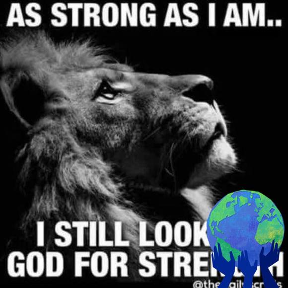 Meet your Posher, Joshua - Picture 1 of 1